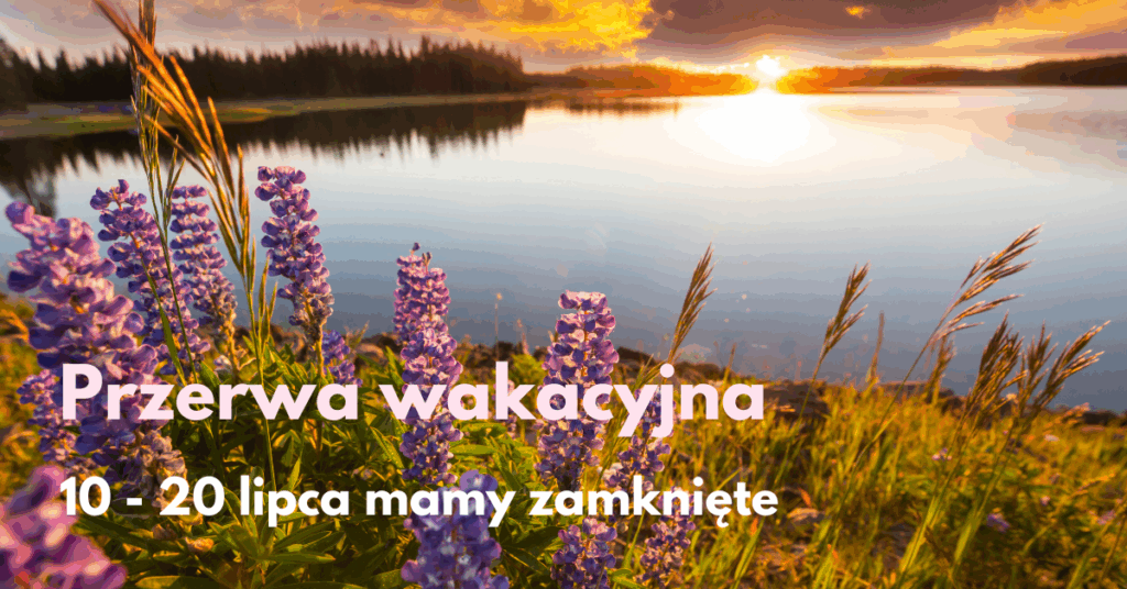 obrazek przedstawia sielankowy widok nad jeziorem z kwiatami