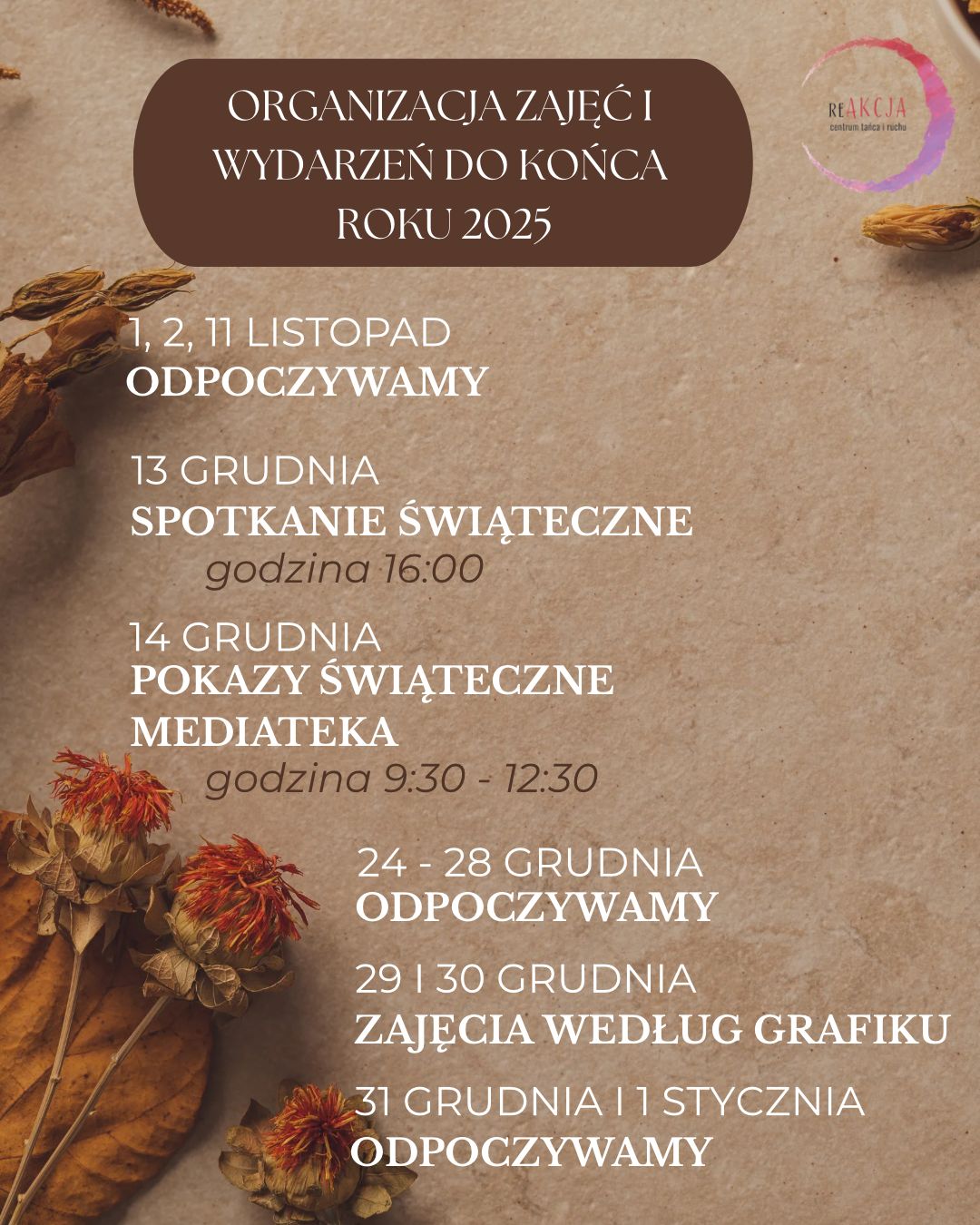 organizacja zajęć listopad grudzień
